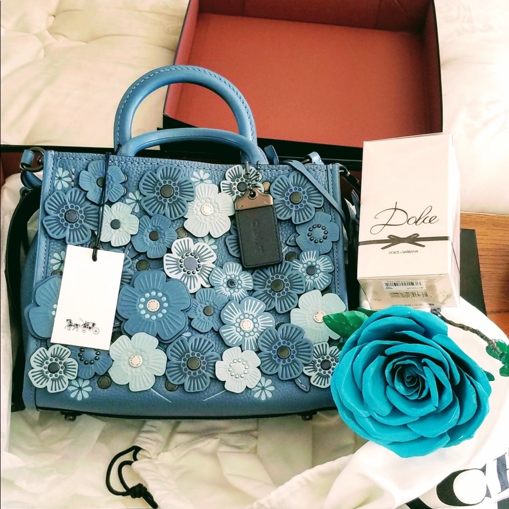 Absolutely Gorgeous Coach Rogue Bag